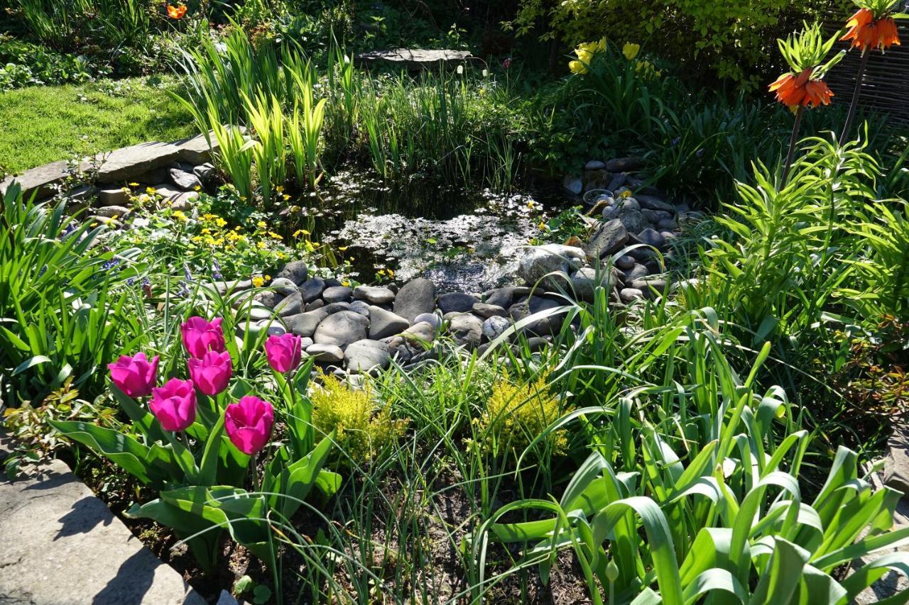 Bed and Breakfast Le Jardin Des Miroirs Esneux Exterior foto